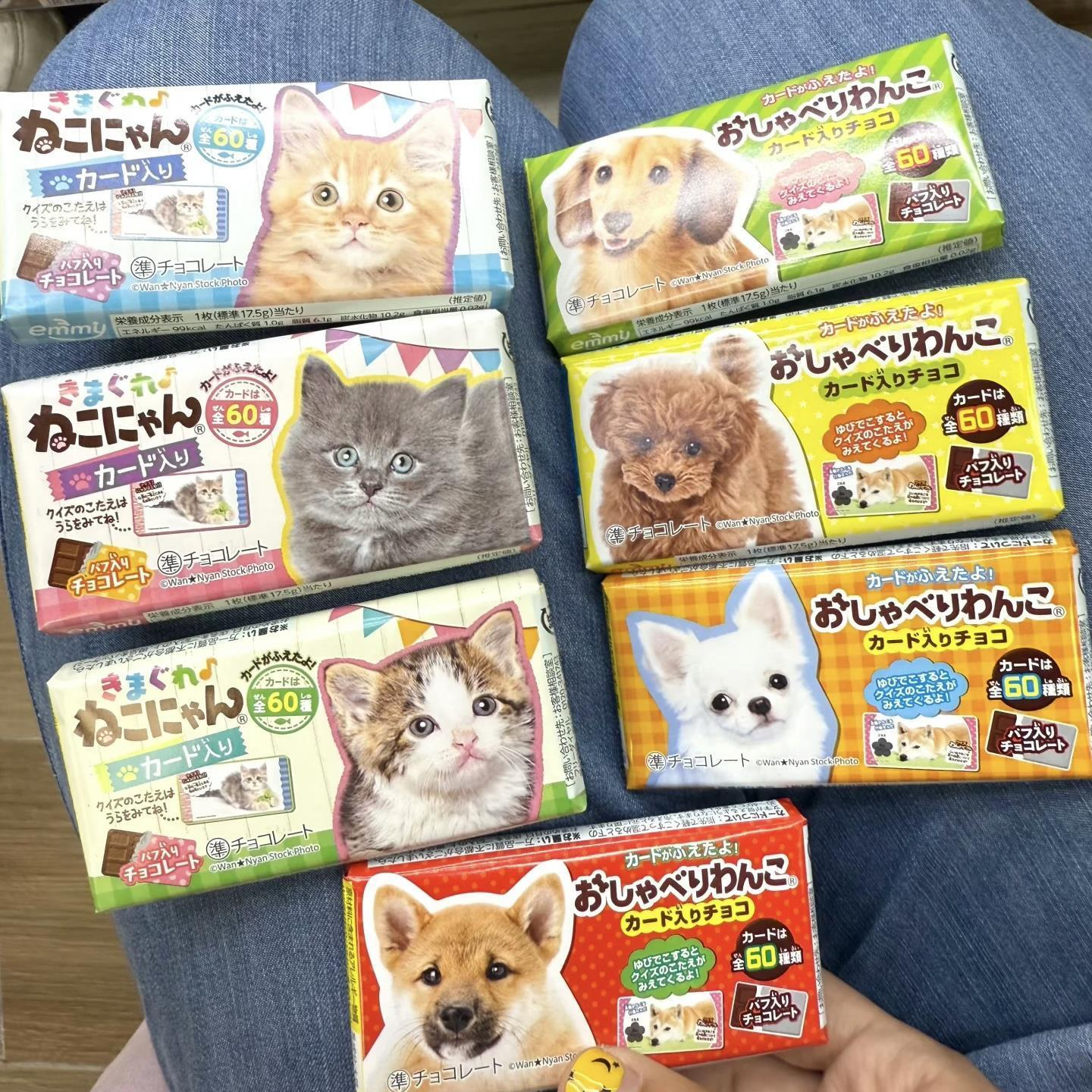 Fun Crispy Chocolate Snack | Random Cat & Dog Motifs + Surprise Cards