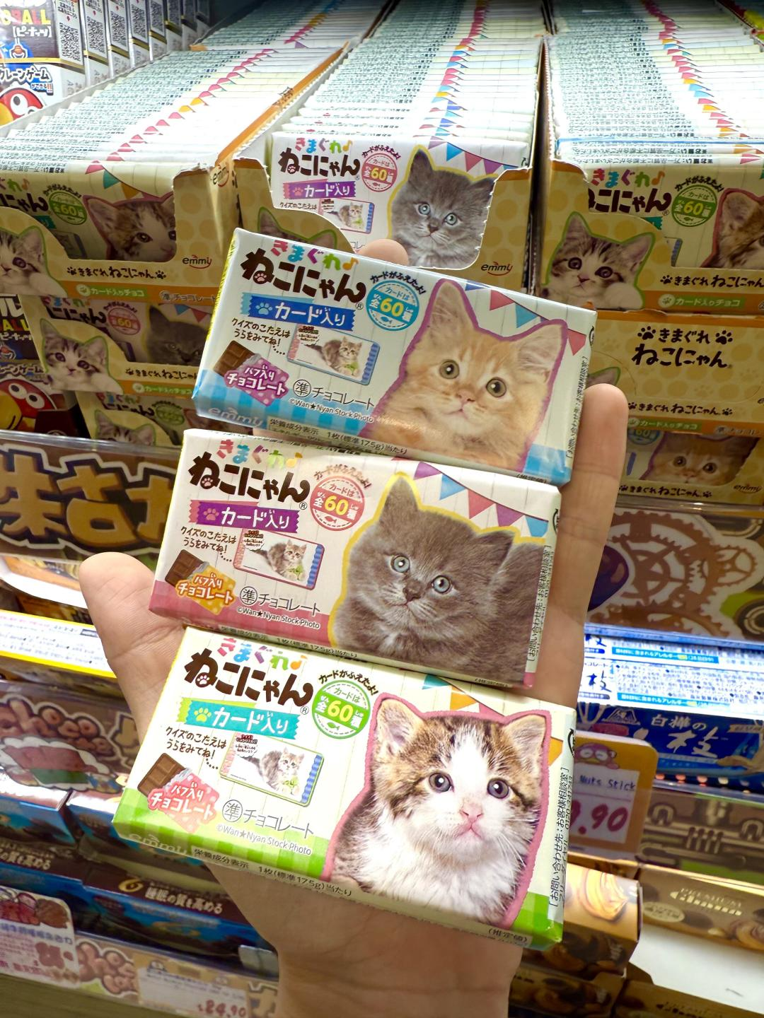 Japanese DONKI Pet Themed Chocolate Snack | Random Cat/Dog Design, No Choice of Pattern