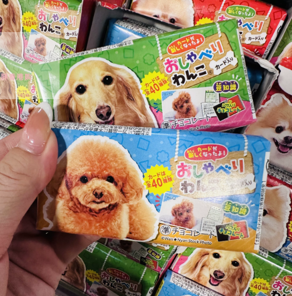 Cute DONKI Crispy Chocolate with Collectible Cards | Random Packaging Design Only