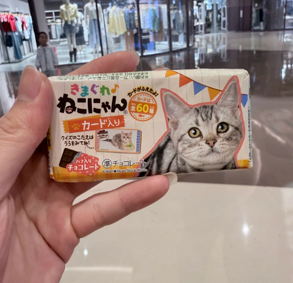 DONKI Pet Pattern Chocolate Snack | Random Design Sent, Cannot Specify the Style