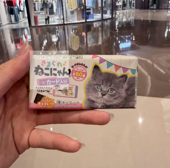 Japan Import DONKI Crispy Chocolate | Random Cat/Dog Wrapper, No Design Selection