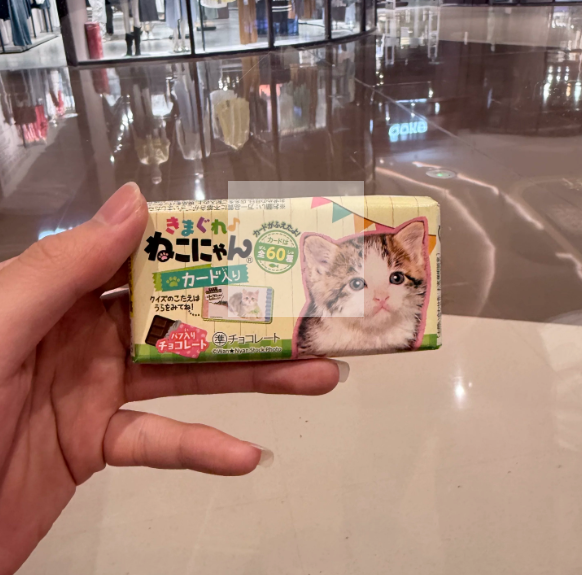 Blind Box Style DONKI Chocolate | Random Cat & Dog Pattern, No Specific Requests