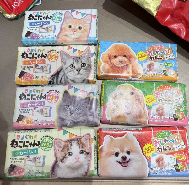 DONKI Cute Cat/Dog Chocolate with Surprise Cards | Random Pattern, Cannot Choose Design