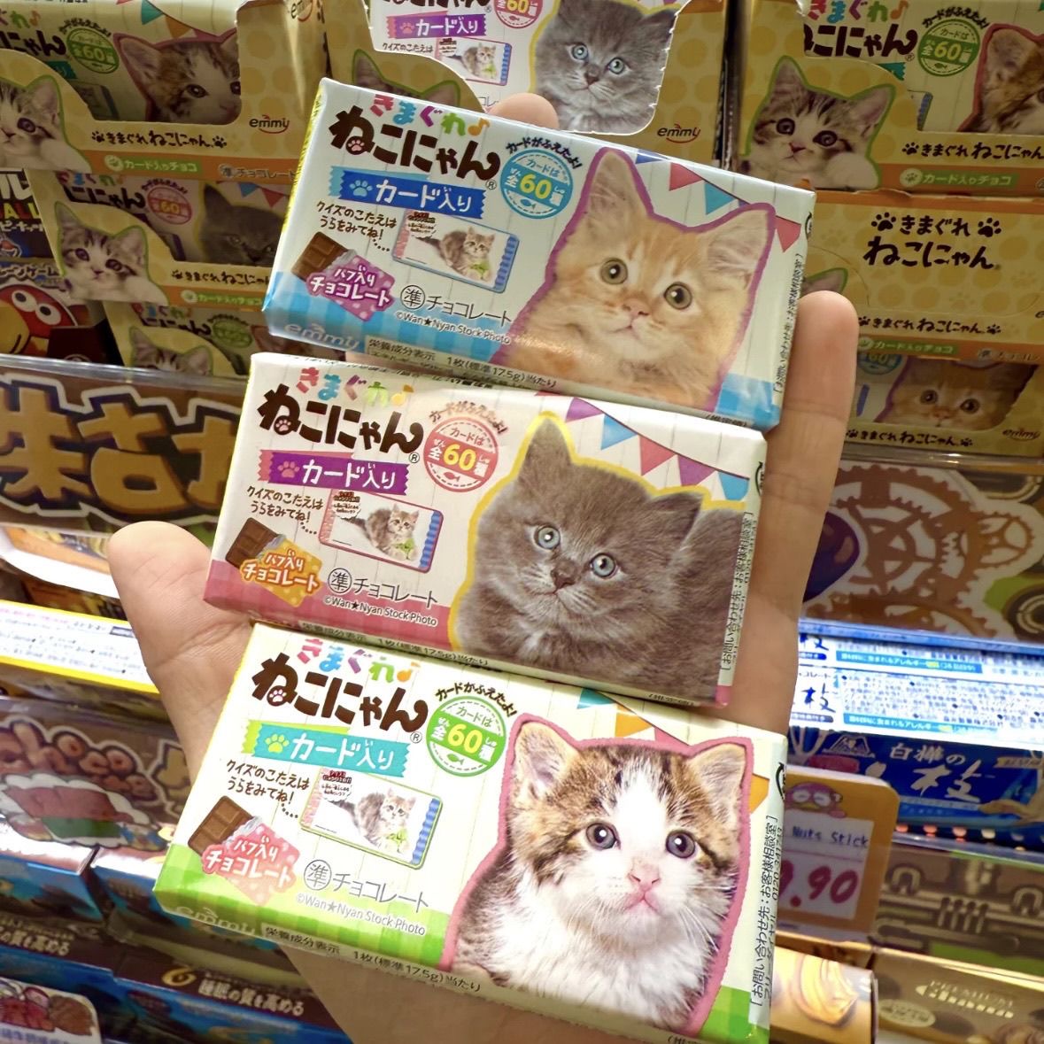 Surprise Pack DONKI Pet Crispy Chocolate – Random Cat/Dog Design, Cannot Specify