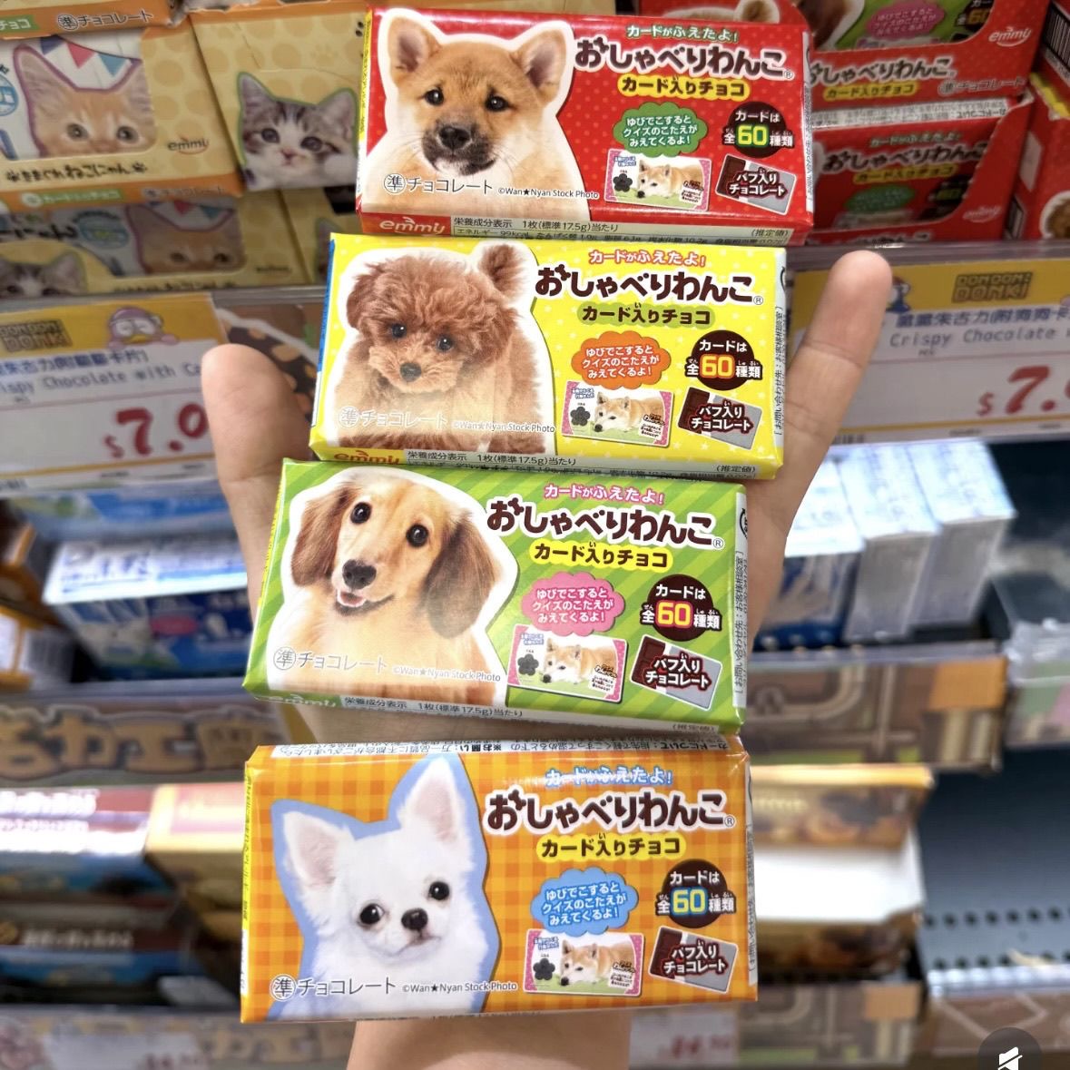 Random Fun! DONKI Cat & Dog Themed Chocolate Snack – Pattern Shipped At Random